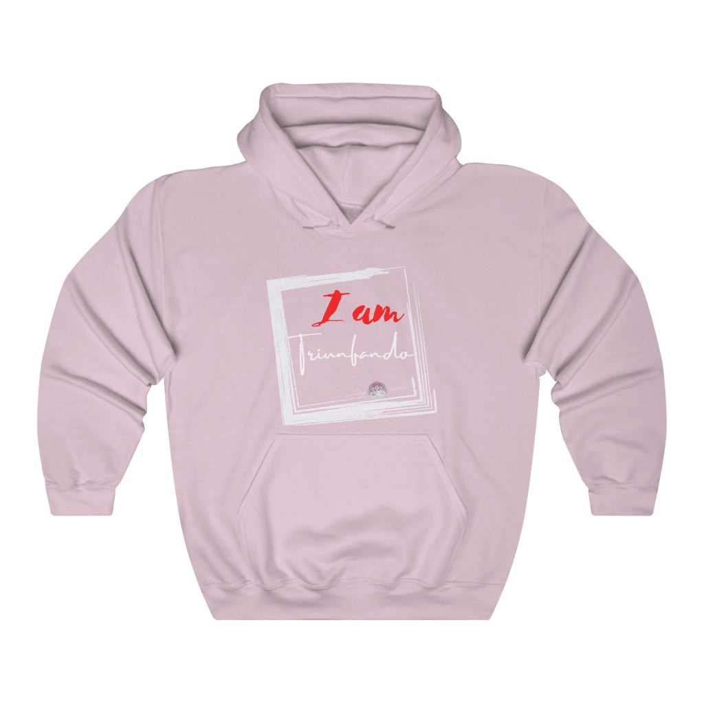 I collection IX Hoodie Unisex Heavy Blend™ Hooded Sweatshirt